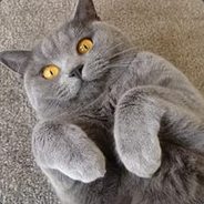 Кыся Барсик