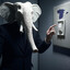 Elefante - Albino