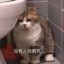奉先