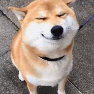 你行你上，不行别哔哔