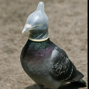 golwbïro kalaşnïkov