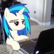 fleetwood windows ⌫