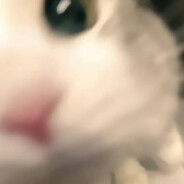 叫你上菜是不是尔多龙