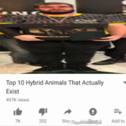 Hybrid Animal