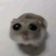 hammy