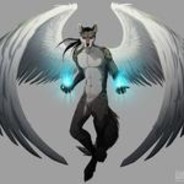 Angelwerwolf avatar