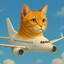 Gattino Aeroplanino