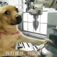 感觉亏大亏大了