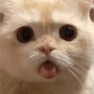 顶级有才哥黑切版