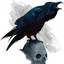 Shadow Raven