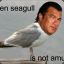 Steven Seagull