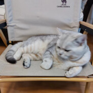 从不遗失一丝意思