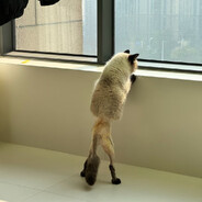 TRICKSSSSSSSSSSSSSSSSSS