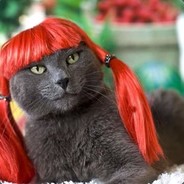 Peerass
