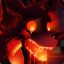Foxy csbets.ru