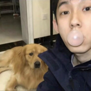 青青草原懒大王