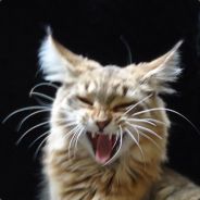 Lady_Debje - steam id 76561197963212233