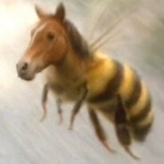 小蜜蜂侯补马蜂