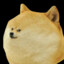 Doge9947