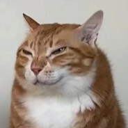 Quazer avatar
