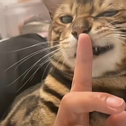 黎明丶舜天