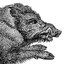 Data-Intensive Boar