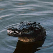 … - steam id 76561199778433045