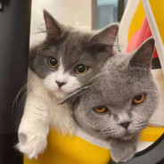 超耐磨的张敬禹