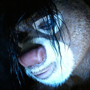 森林守卫者熊大