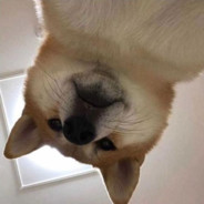 旋转跳跃我闭上眼