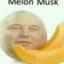 melon_musk