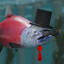 ProtoFish