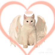 悲伤玉米排骨汤