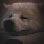 TetrysXD
