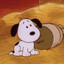 puppy