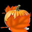 Dyń(jesienny)