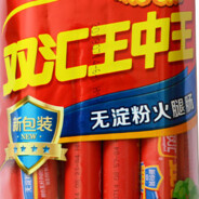 万王之王
