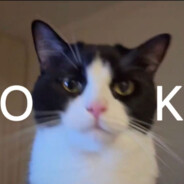 酸奶公园的马枪垫子