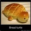 Bread Turtle 42