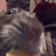 JaneDoeEatingCheese.gif