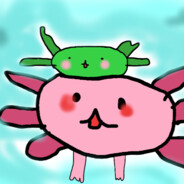Mr. Axolotl