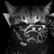 ARABiKKK 77 - steam id 76561198988730007