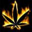 _NOAR_