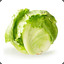 Lettuce