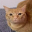 garf