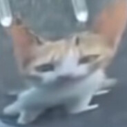EEE