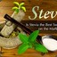 SteviaGayRoommate