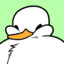katie.nick28