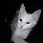 我猜你在看我的id