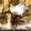 Gota